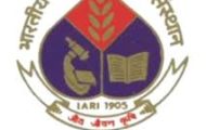 IARI Admit Card 2022 – 462 Assistant Post | Download Now