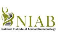 NIAB Recruitment 2022 – Various Research Associate Posts | Apply Online