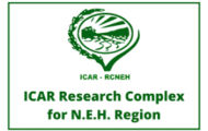 ICAR Recruitment 2021 – Various Project Assistant Post | Apply Online