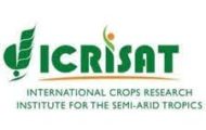 ICRISAT Recruitment 2021 – Various Manager Post | Apply Online