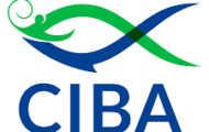 CIBA Recruitment 2022 – 07 YP Post | Apply Online