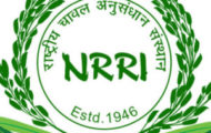 NRRI Recruitment 2022 – 21 Personal Assistant Post | Apply Online