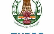 TNPSC Recruitment 2022 – Group IV Syllabus Released | Download Now
