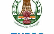 TNPSC Recruitment 2022 – 625 CESE Syllabus Released | Download Now