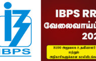 IBPS Recruitment 2022 – 8100  Officer Post | Apply Online