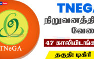 TNEGA Recruitment 2023 – 47 Functional consultant Posts | Apply Email