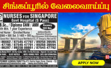 Singapore Recruitment 2023 – Walk-In-Interview for 500 Nurses Posts
