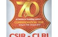 CSIR – CLRI Recruitment 2023 – Various Project Associate Posts | Walk-In-Interview