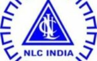 NLC Recruitment 2023 – 877 Apprentice Posts