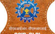CLRI Recruitment 2024: Check Eligibility Criteria for Assistant and Associate Posts