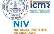 NIV Recruitment 2024: Check Eligibility Criteria for Project Technical Support Posts