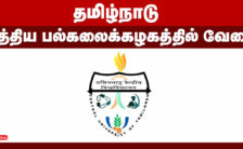 CUTN Thiruvarur Recruitment 2024 – Various Teacher Posts