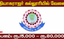 Thiagarajar College Recruitment 2024 – Various Clerk Posts