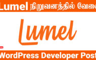 Lumel Recruitment 2024 – Various WordPress Developer Posts