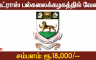 Madras University Recruitment 2024 – Various Project Fellow Posts