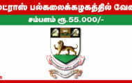 Madras University Recruitment 2024 – Various Post-Doctoral Fellow Posts