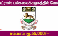 Madras University Recruitment 2024 – Various Post-Doctoral Fellow Posts