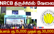 NRCB Trichy Recruitment 2024 – Various Project Assistant Posts