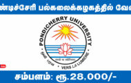 Pondicherry University Recruitment 2024 – Various Project Technical Support Posts